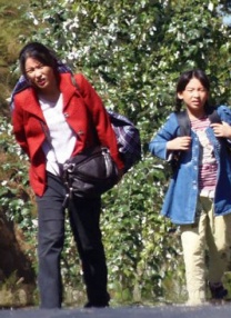 国产精品蜜臂在线观看