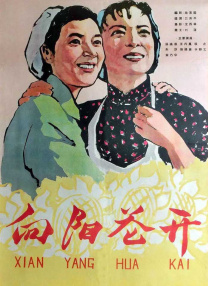 亚洲精美视频