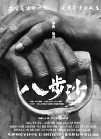 精灵宝可梦小智狂叉露莎米奈