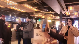 骚b在线